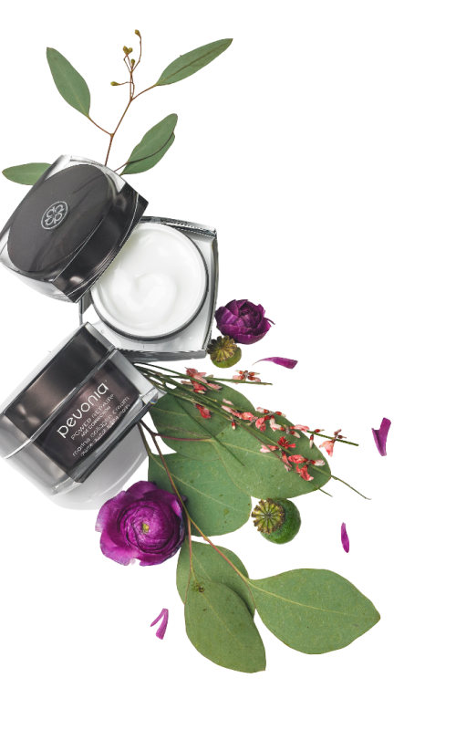 kolagenska-krema kolagenska-krema