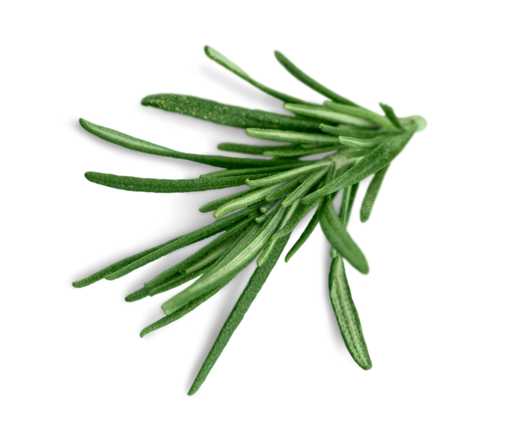 siroke-pore siroke-pore